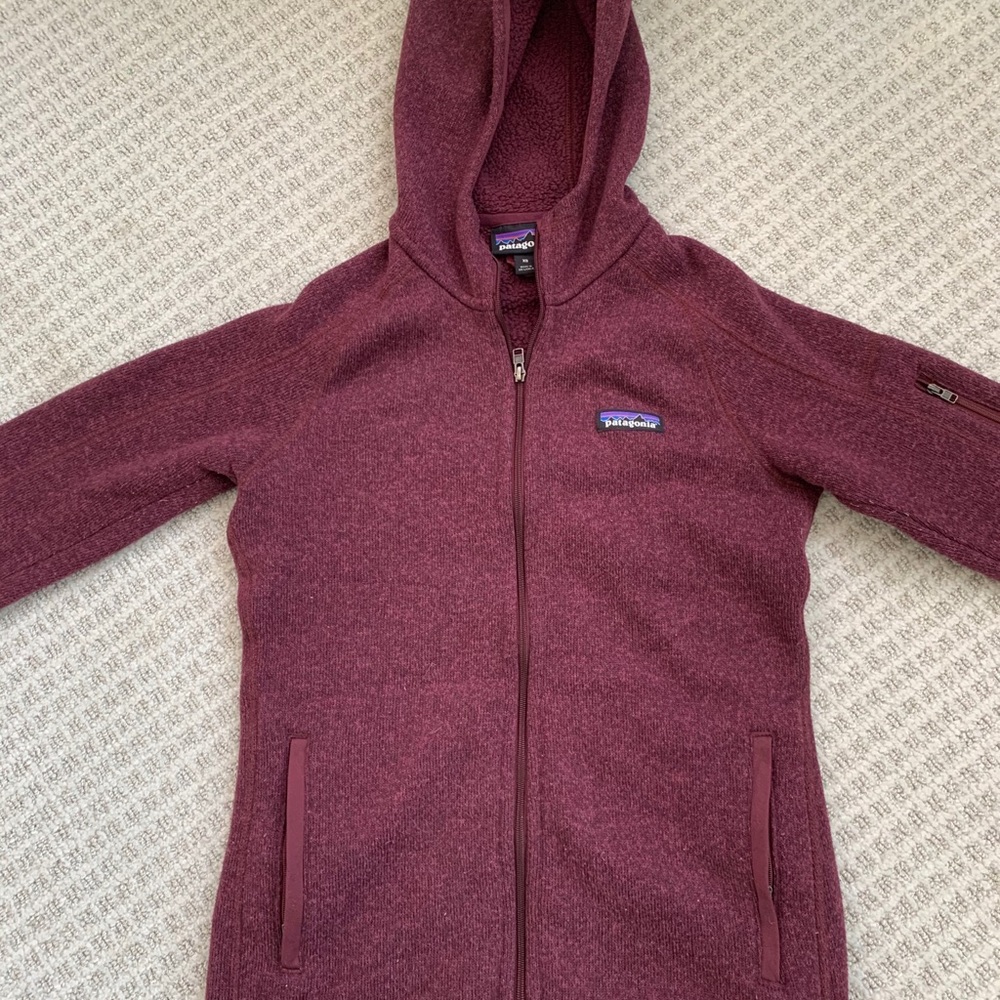 Patagonia better sweater full-zip hooded jacket